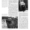 Volontari alpini di Feltre e Cadore nella grande guerra - immagine 7